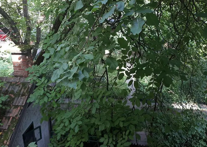 Tabor - Rozmanova Street Гостевой дом