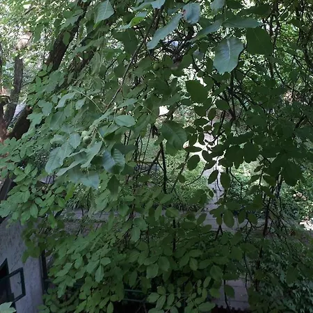 Tabor - Rozmanova Street Hiša za goste